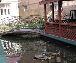 Це також Ужгород